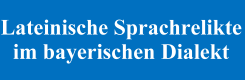 W&ouml;rterbuch